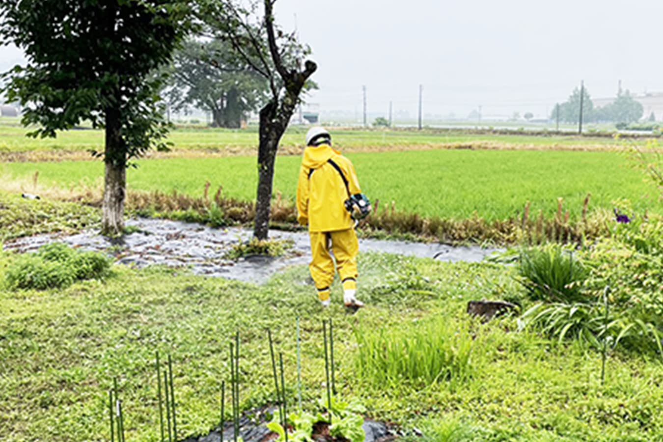 黄色いレインコートを着て草刈り機で除草作業を行う作業員